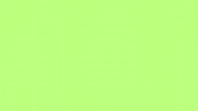 295C