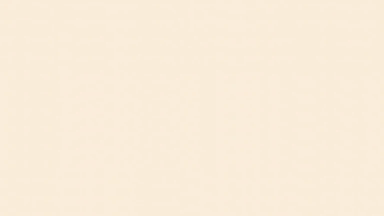 401E