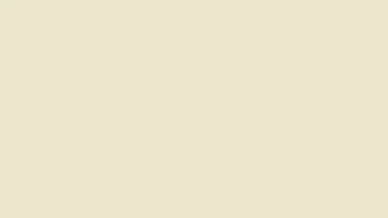 BEIGE CLARO